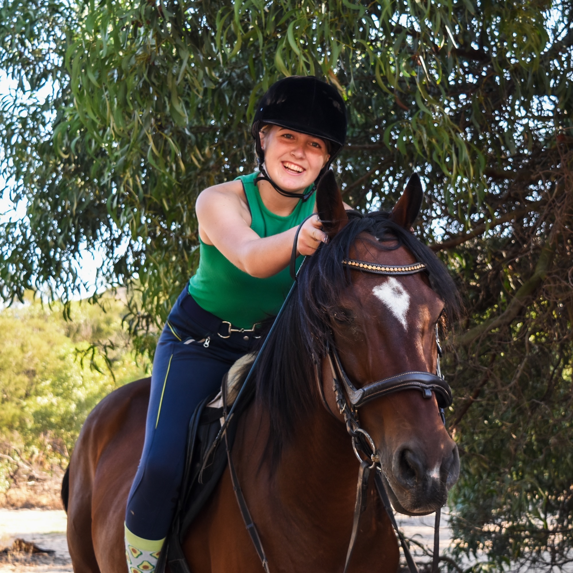 Horse at Rivendale
